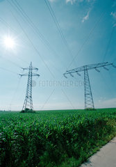 Strommasten fuer Hochspannungsleitungen in einem Feld  Baeumchen  Deutschland