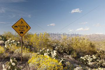 Share the road sign in scenic desert landscape