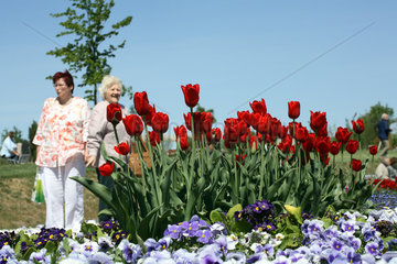 BUGA 2007: Blumen und Besucher