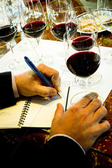 Wine taster writing notes