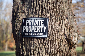 Wilton  USA  Schild an einem Baumstamm