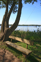Teupitz  Baum und Parkbank am Ufer am Teupitzsee