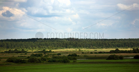Bobrujsk  Weissrussland  typische Landschaft der Region