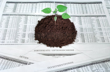 Pflanzensetzling in Erde auf Wirtschaftsseiten einer Zeitung
