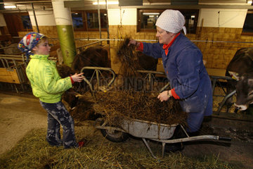 Tirol  Baeuerin und ihre Tochter fuettern die Kuehe im Stall