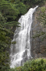 Wellawaya  Sri Lanka  Diyaluma Wasserfall