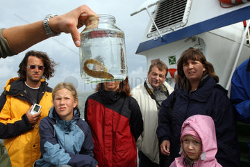 Hoernum  Deutschland  Touristen auf einem Schiff im Wattenmeer