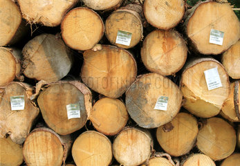 Holzstapel am Waldrand in Schweden