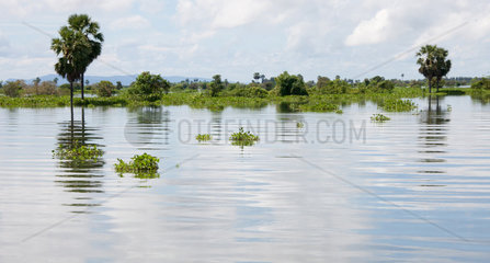 Phnom Penh  Kambodscha  ueberschwemmter Tonle Sap