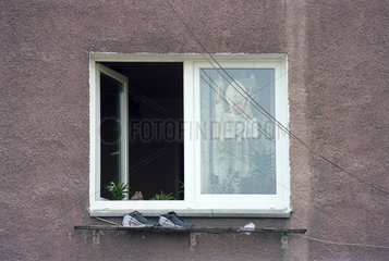 Fenster mit Papstbild  Fronleichnamstag  Poznan  Polen