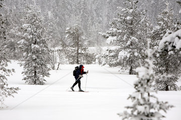 Saelen  Schweden  Mann beim Skilanglauf