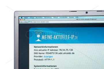 Hamburg  Deutschland  Monitor zeigt Netzwerkinformationen