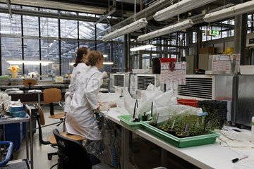Max-Planck-Institut Molekulare Pflanzenphysiologie