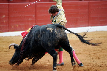 Julian -El Juli- Lopez  ein spanischer Matador waehrend eines Stierkampfes  Spanien