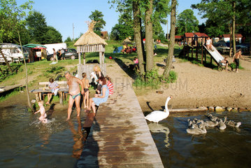 Urlauber und Schwanfamilie an einem See in den Masuren  Polen
