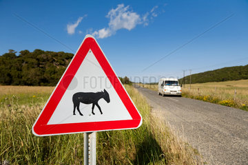 Tuerkische Republik Nordzypern  ein Esel-Warnschild an einer Strasse