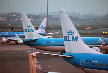 Amsterdam  Niederlande  Flugzeuge der KLM auf einem Rollfeld des Flughafen Schiphol