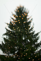 Berlin  Weihnachtsbaum mit Lichtern geschmueckt