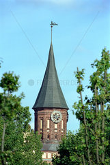 Koenigsberger Dom in Kaliningrad  Russland