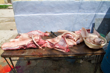 Havanna  Kuba  private Schweineschlachtung in San Miguel