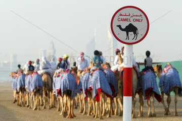 Kamele und Reiter in der Wueste von Dubai