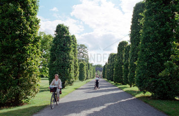 Potsdam  Radfahrerin im Park am Heiligen See