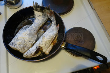 Lessebo  Schweden  Fisch wird in einer Pfanne gebraten