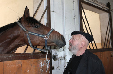 Dresden  Deutschland  Schauspieler Rolf Hoppe mit einem Pferd