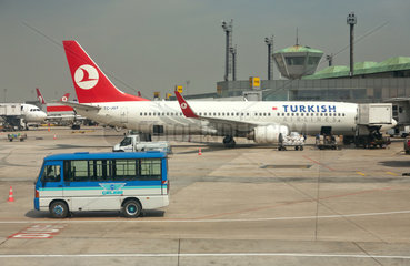 Istanbul  Tuerkei  Atatuerk International Airport  Flugzeuge der Turkish Airlines