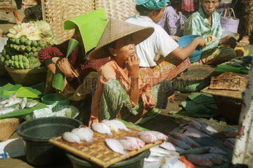 Fischverkauf auf einem Markt in Lombok