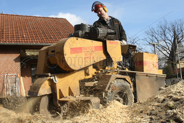 Hamm  Deutschland  Baumpfleger beim Stubbenfraesen