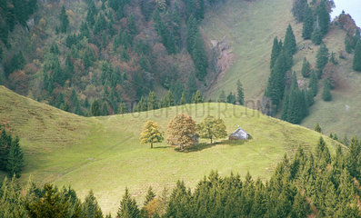 Saentis  Schweiz  Gebirgslandschaft in den Appenzeller Alpen