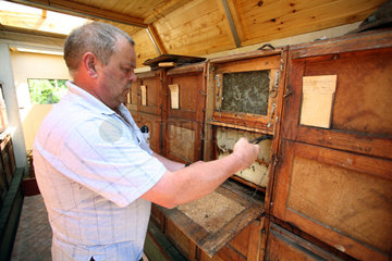Neuenhagen  Deutschland  Imker kontrolliert einen Bienenstock
