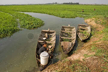 Phnom Penh  Kambodscha  ein Junge in einem Boot auf einer Wasserspinatplantage