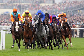 Ascot  Grossbritannien  Pferde und Jockeys waehrend eines Galopprennens