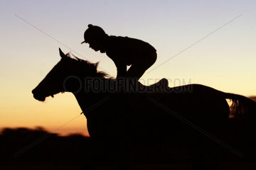 Koeln  Silhouette von Pferd und Reiter im Morgenlicht