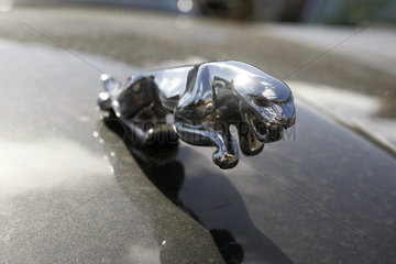 Das Logo eines Jaguar
