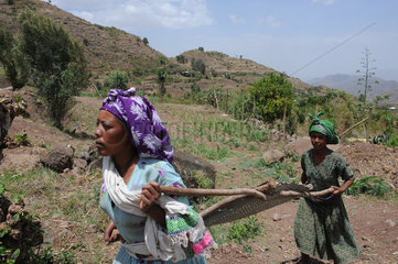 Key Afer  Aethiopien  Frauen bei der Feldarbeit