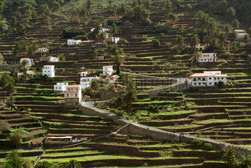 Traditionelle Terrassenanlage im Valle Gran Rey auf La Gomera
