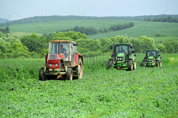 Landwirte in ihren Traktoren bei der Ernte  Slowakei