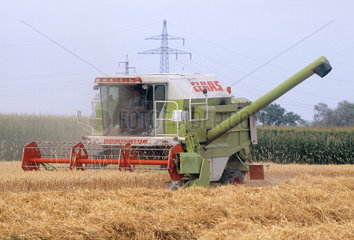 Maehdrescher bei der Getreideernte auf einem Feld