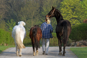 Goerlsdorf  eine Frau bringt Pferde auf die Weide