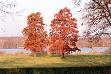 Herbstliche Ansicht eines Parks in Potsdam