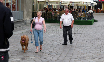 Posen  Polen  Frau mit Hund auf dem Alten Markt