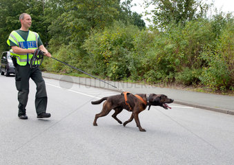 Schloss Holte-Stuckenbrock  Deutschland  ein Mantrailer-Polizeihund bei einer Einsatzuebung