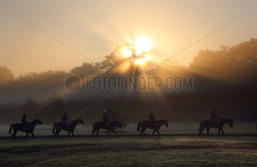 Chantilly  Frankreich  Reiter und Pferde beim Ausritt am Morgen