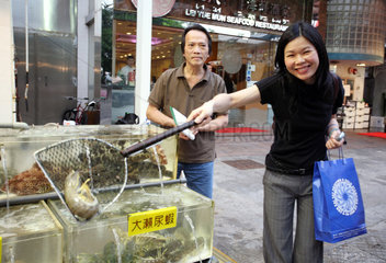 Hong Kong  China  Frau praesentiert eine Garnele in einem Kescher