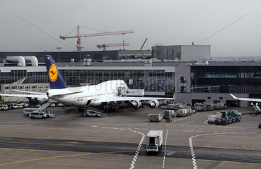 Frankfurt am Main  Deutschland  Flugzeug der Lufthansa am Terminal des Flughafen Frankfurt