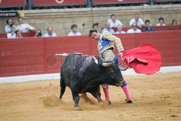 Enrique Ponce  ein spanischer Matador waehrend eines Stierkampfes  Spanien