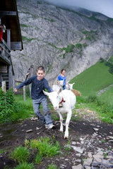 Blatti Alm  Schweiz  Kinder mit Ziegen auf der Alm